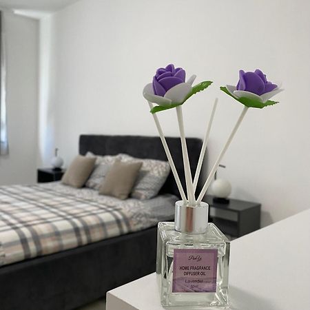 Grand Royal Apartment Belgrade Exterior photo